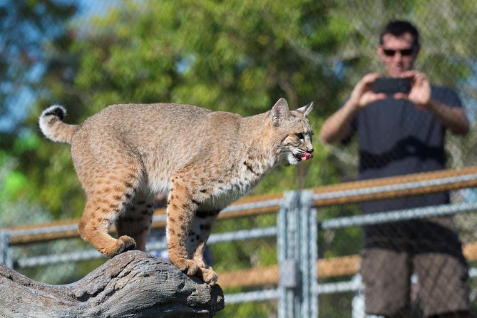 Zoo Miami Ticket with Optional Upgrade - Parking Included, But You’re Responsible for Getting There
