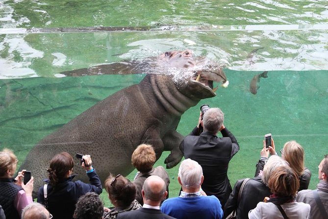 Zoo Of Beauval - Private Trip - Quick decision: should you book?